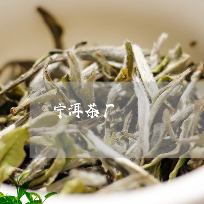 宁洱茶厂/2023090185826