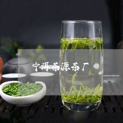 宁洱茶源茶厂/2023042969203