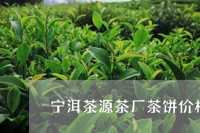 宁洱茶源茶厂茶饼价格/2023092157371