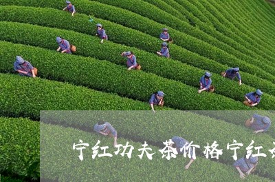 宁红功夫茶价格宁红茶图片价格图/2023060273805