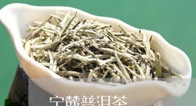 宁麓普洱茶/2023090648582