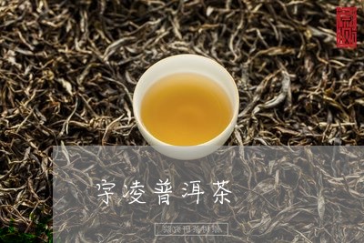 宇凌普洱茶/2023102588581