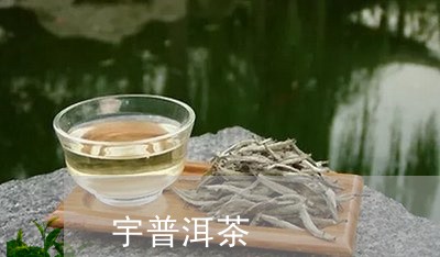 宇普洱茶/2023110890513