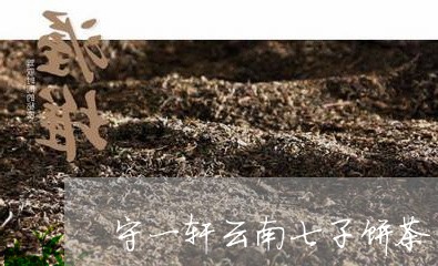 守一轩云南七子饼茶/2023042668474