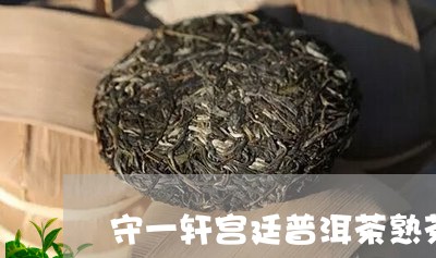 守一轩宫廷普洱茶熟茶/2023062281816