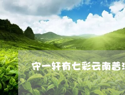 守一轩有七彩云南普洱茶吗/2023051342615