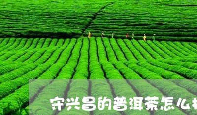 守兴昌的普洱茶怎么样/2023072146279