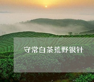 守常白茶荒野银针/2023090928503