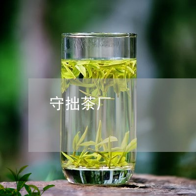 守拙茶厂/2023110980705