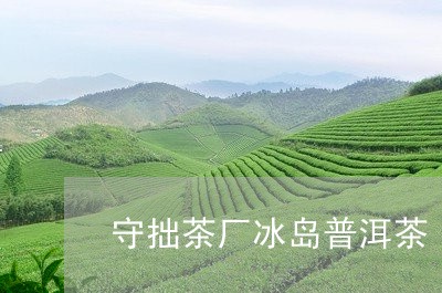 守拙茶厂冰岛普洱茶/2023120560471