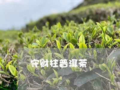 守财柱普洱茶/2023042788710