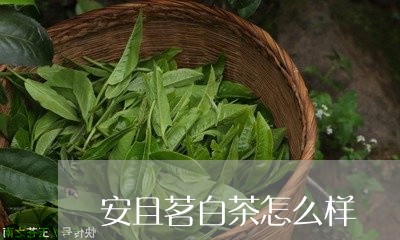 安且茗白茶怎么样/2023061832613