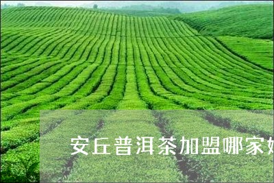 安丘普洱茶加盟哪家好/2023092592836