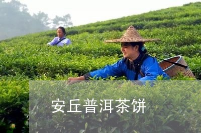 安丘普洱茶饼/2023042793464