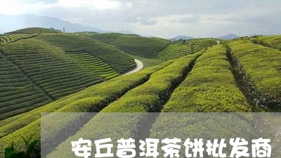 安丘普洱茶饼批发商/2023091571625