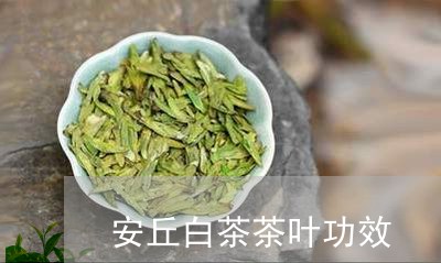 安丘白茶茶叶功效/2023061869426