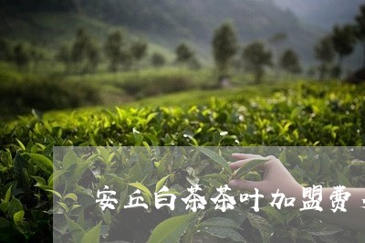 安丘白茶茶叶加盟费多少/2023101692616