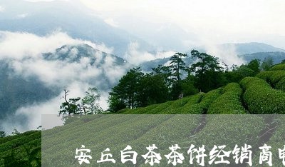 安丘白茶茶饼经销商电话/2023101746283