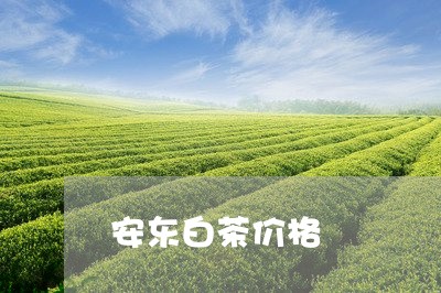 安东白茶价格/2023051519360