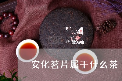 安化茗片属于什么茶/2023042198381