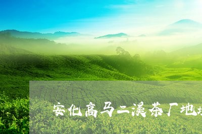 安化高马二溪茶厂地址/2023092163826