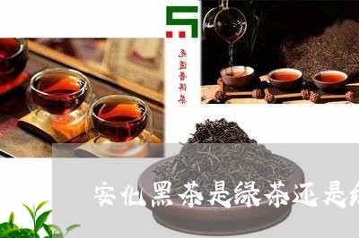 安化黑茶是绿茶还是红茶/2023050662714