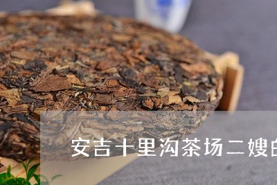 安吉十里沟茶场二嫂白茶/2023101765036