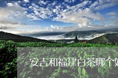 安吉和福建白茶哪个好些/2023101737070