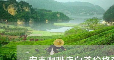 安吉咖啡店白茶价格查询/2023101718189