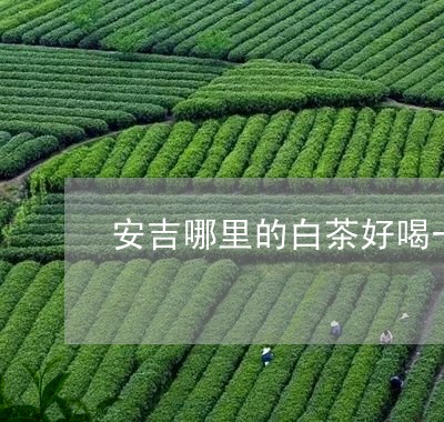 安吉哪里的白茶好喝一点/2023101715825