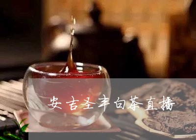 安吉圣丰白茶直播/2023061876926