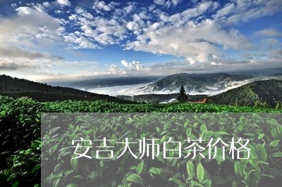 安吉大师白茶价格/2023061886350