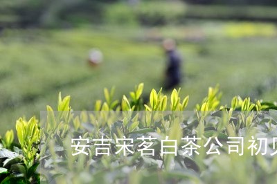 安吉宋茗白茶公司初见/2023092913060