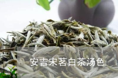 安吉宋茗白茶汤色/2023061880496