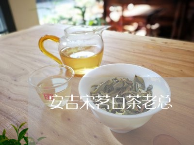 安吉宋茗白茶老总/2023061854159