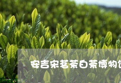 安吉宋茗茶白茶博物馆开放时间/2023111470593