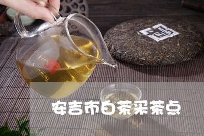 安吉市白茶采茶点/2023061855247