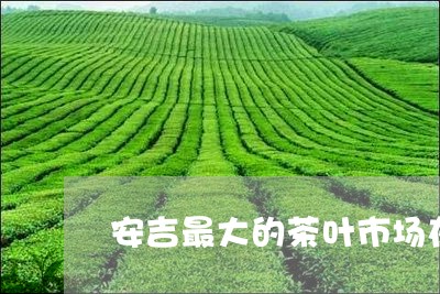 安吉最大的茶叶市场在哪里/2023051236460