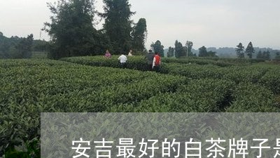 安吉最好的白茶牌子是哪家公司/2023111463941