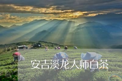 安吉溪龙大师白茶/2023061868383