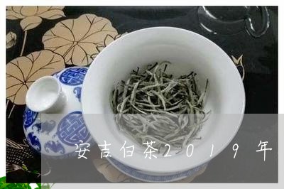 安吉白茶2019年/2023121505925