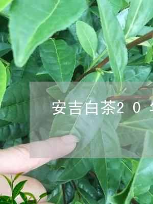 安吉白茶20年历程/2023071336046