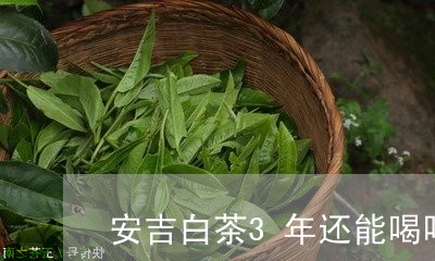 安吉白茶3年还能喝吗/2023092717282