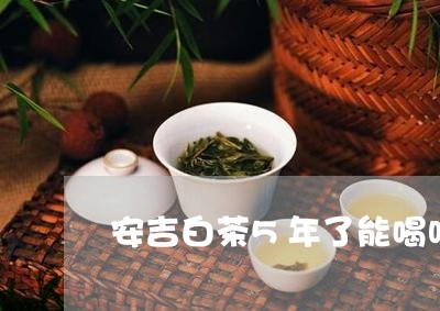 安吉白茶5年了能喝吗/2023092716147