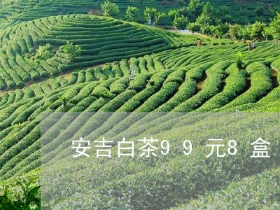 安吉白茶99元8盒/2023121505949