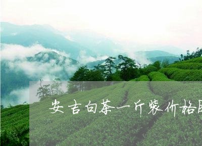 安吉白茶一斤装价格图片/2023101776360