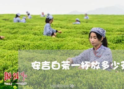 安吉白茶一杯放多少茶叶/2023101728171