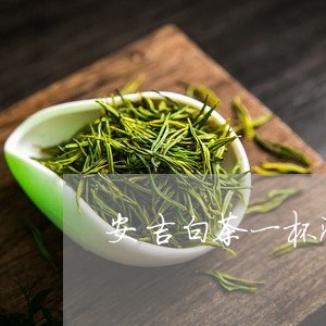 安吉白茶一杯泡几克最好/2023101794159