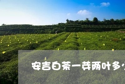 安吉白茶一芽两叶多少钱/2023102415058