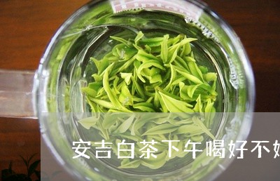 安吉白茶下午喝好不好/2023092970492